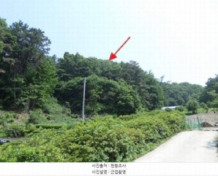 2025타경20642 강원특별자치도 원주시 문막읍 궁촌리 산94 임야 경매 이미지