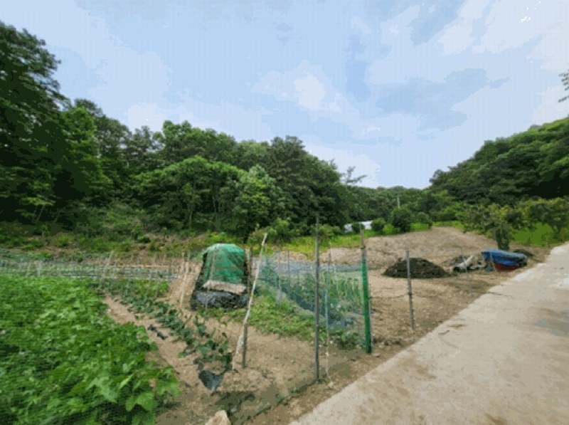2025타경20642 강원특별자치도 원주시 문막읍 궁촌리 산94 임야 경매 이미지