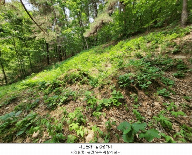 2025타경20642 강원특별자치도 원주시 문막읍 궁촌리 산94 임야 경매 이미지