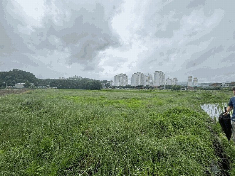 2025타경20686 강원특별자치도 원주시 태장동 493-3 농지 경매 이미지