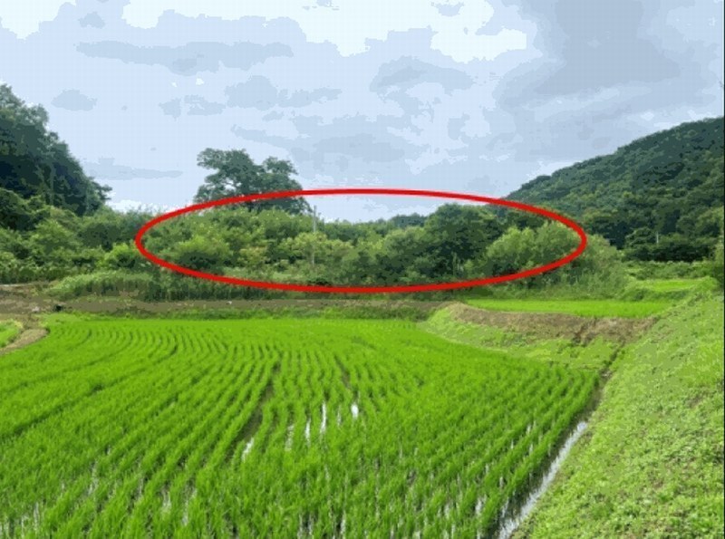 2025타경20698 강원특별자치도 원주시 흥업면 대안리 142 농지 경매 이미지