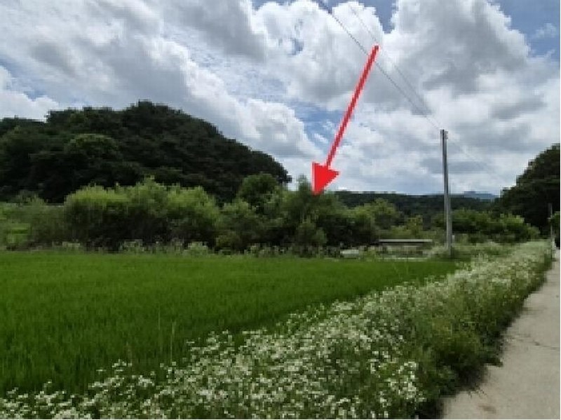2025타경20698 강원특별자치도 원주시 흥업면 대안리 142 농지 경매 이미지