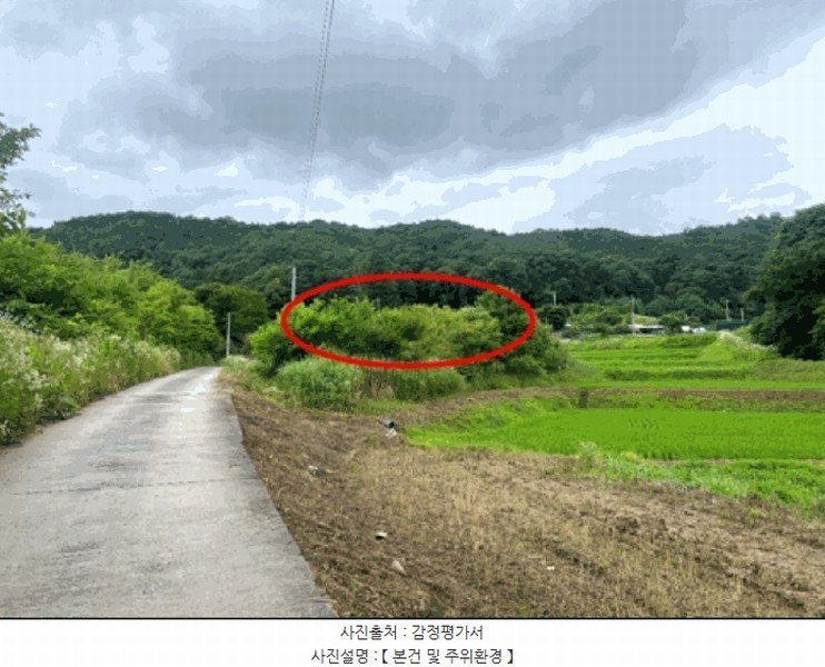 2025타경20698 강원특별자치도 원주시 흥업면 대안리 142 농지 경매 이미지