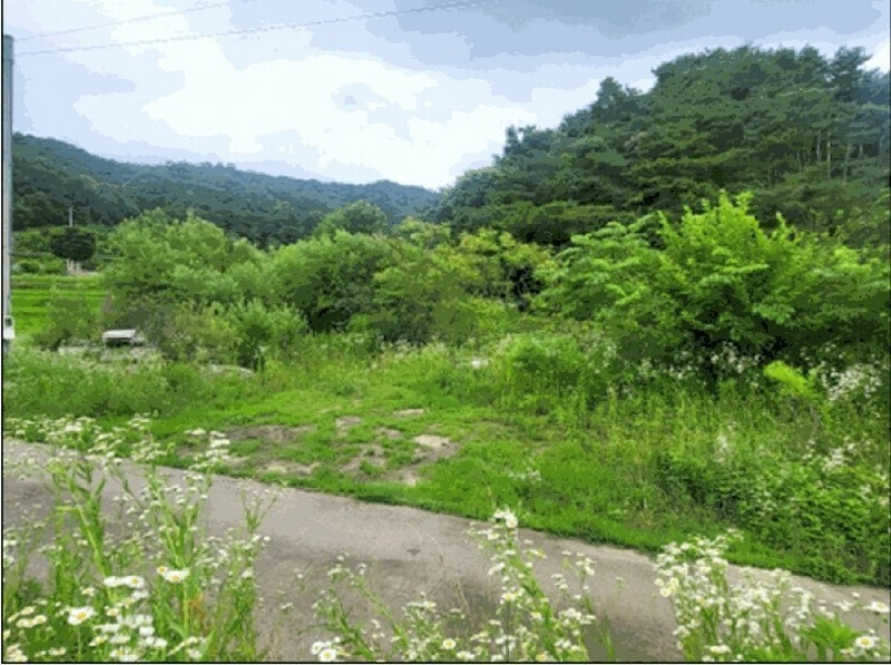 2025타경20698 강원특별자치도 원주시 흥업면 대안리 142 농지 경매 이미지