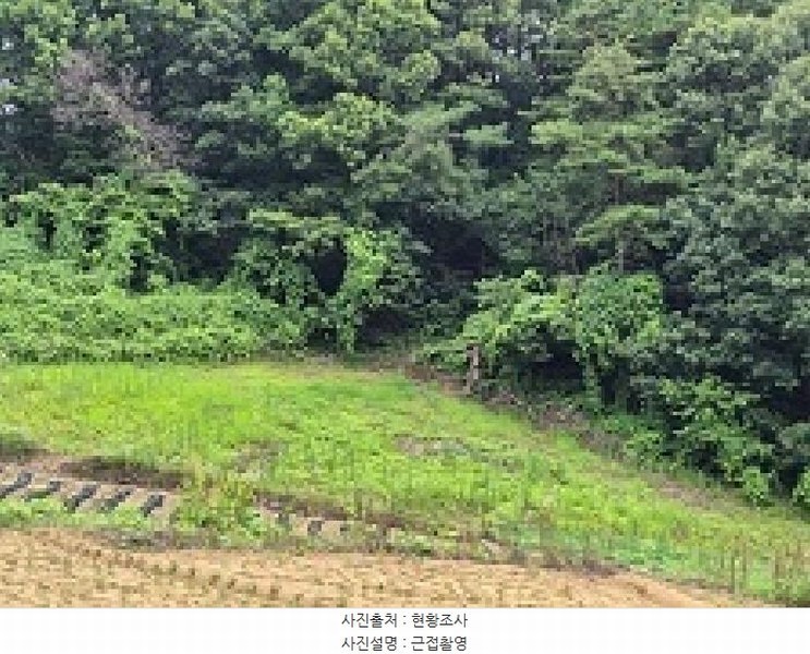 2025타경20708 강원특별자치도 원주시 부론면 손곡리 130 농지 경매 이미지