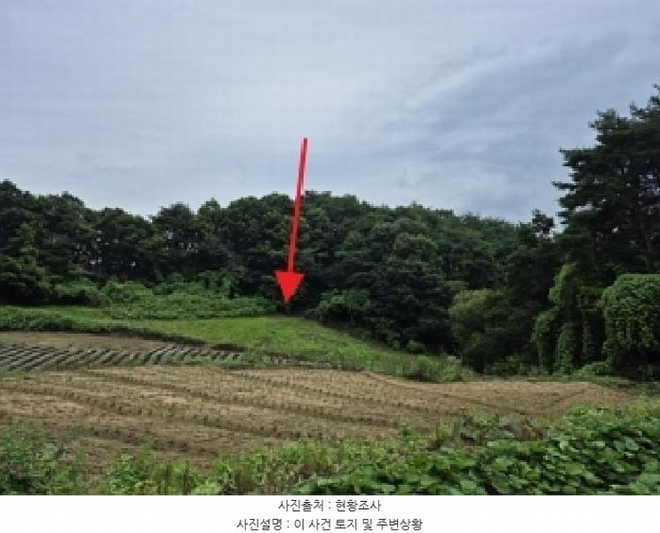 2025타경20708 강원특별자치도 원주시 부론면 손곡리 130 농지 경매 이미지