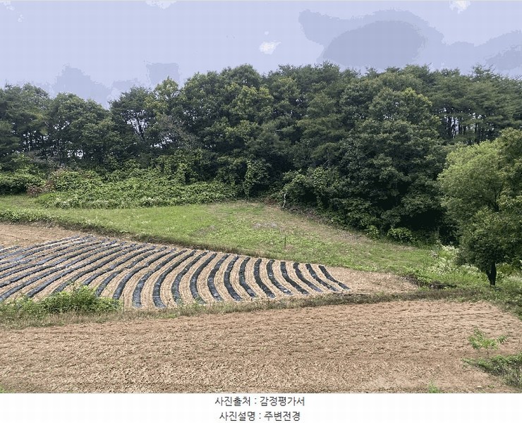 2025타경20708 강원특별자치도 원주시 부론면 손곡리 130 농지 경매 이미지