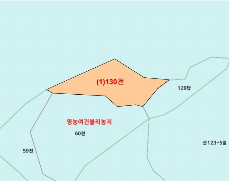2025타경20708 강원특별자치도 원주시 부론면 손곡리 130 농지 경매 이미지