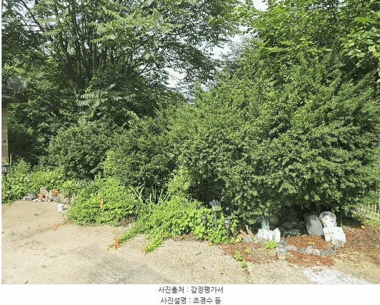 2025타경20712 강원특별자치도 원주시 지정면 신평리 598-2 주택 경매 이미지