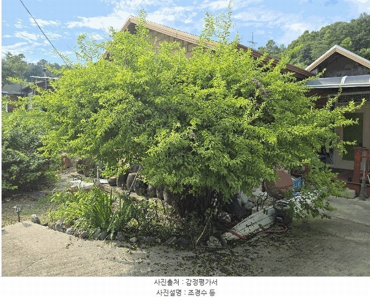 2025타경20712 강원특별자치도 원주시 지정면 신평리 598-2 주택 경매 이미지