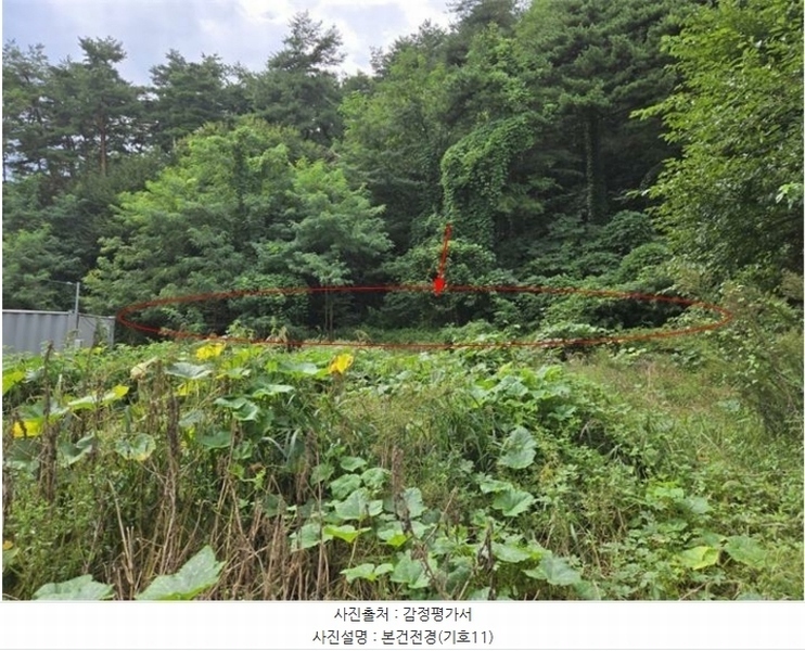 2024타경11806 강원특별자치도 양양군 양양읍 청곡리 343 농지 경매 이미지