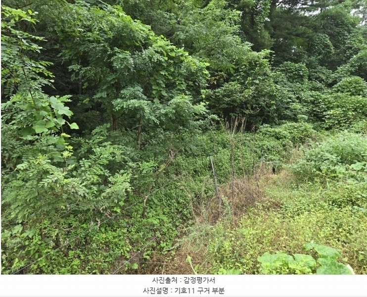 2024타경11806 강원특별자치도 양양군 양양읍 청곡리 343 농지 경매 이미지
