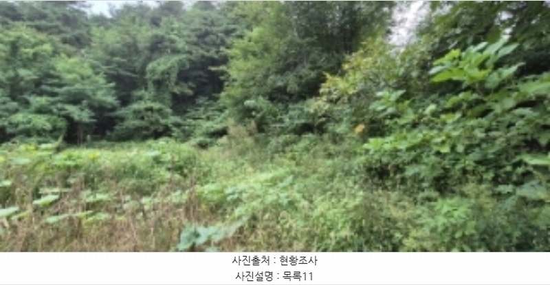 2024타경11806 강원특별자치도 양양군 양양읍 청곡리 343 농지 경매 이미지