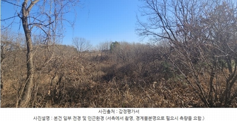 2024타경12441 강원특별자치도 고성군 토성면 용암리 산32 임야 경매 이미지