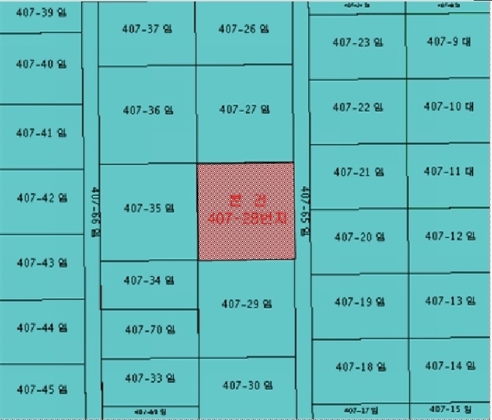 2025타경10224 강원특별자치도 양양군 서면 북평리 407-28 임야 경매 이미지