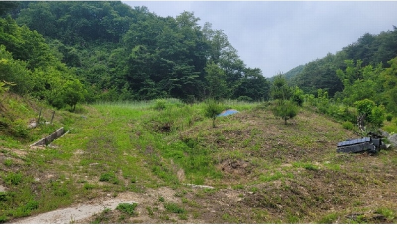 2025타경10276 강원특별자치도 양양군 양양읍 화일리 799 농지 경매 이미지