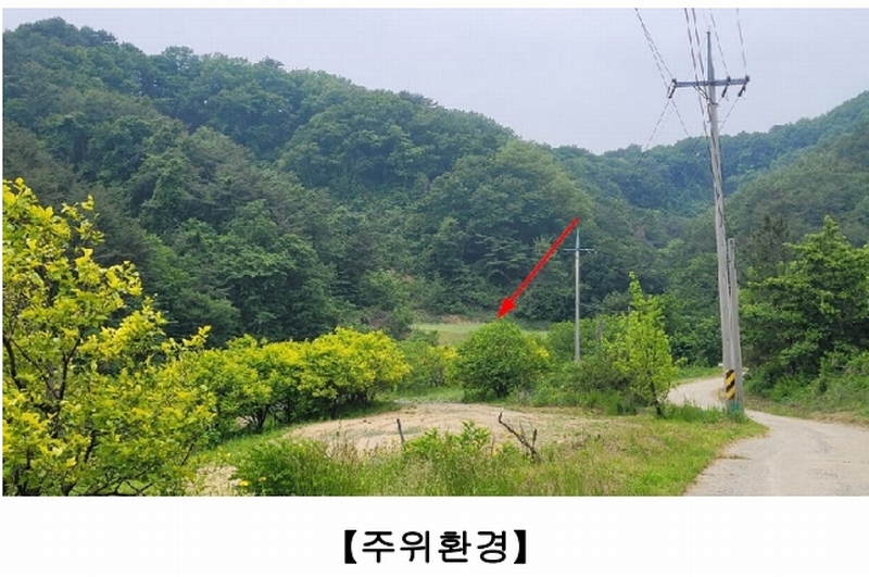 2025타경10276 강원특별자치도 양양군 양양읍 화일리 799 농지 경매 이미지