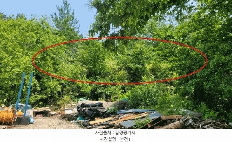 2025타경10278 강원특별자치도 고성군 토성면 학야리 167 농지 경매 이미지