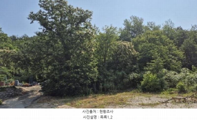 2025타경10278 강원특별자치도 고성군 토성면 학야리 167 농지 경매 이미지