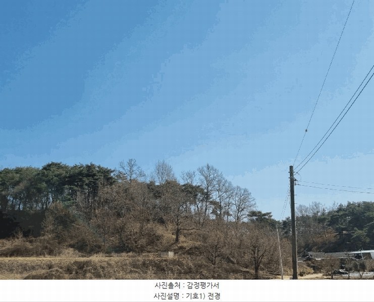 2025타경10280 경상북도 안동시 와룡면 지내리 산29 임야 경매 이미지