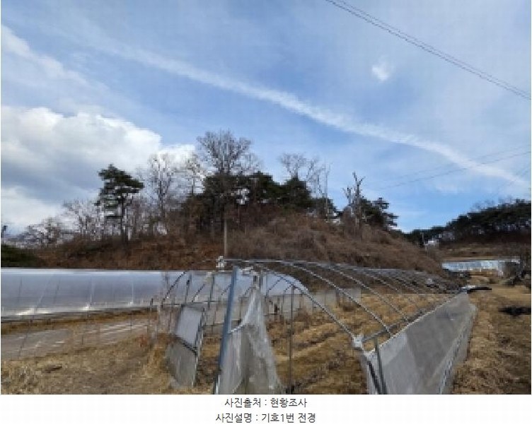 2025타경10280 경상북도 안동시 와룡면 지내리 산29 임야 경매 이미지