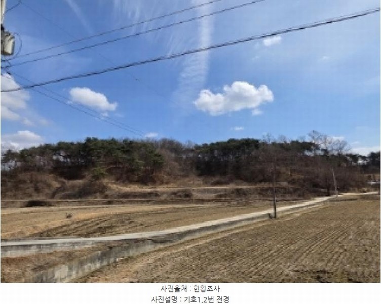 2025타경10280 경상북도 안동시 와룡면 지내리 산29 임야 경매 이미지