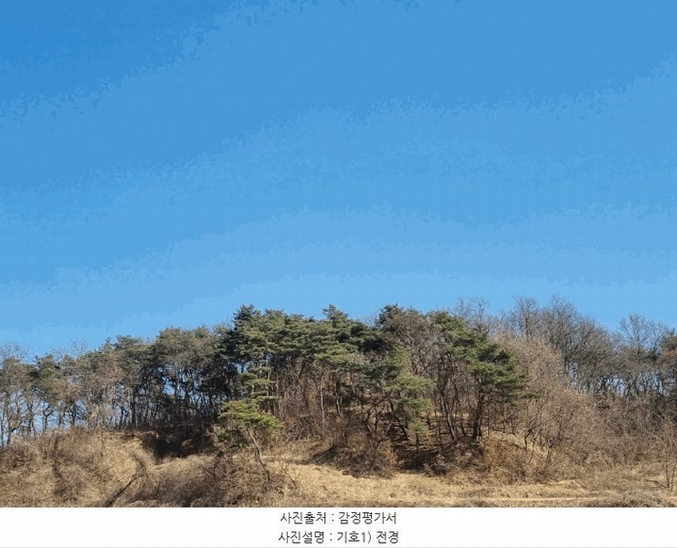2025타경10280 경상북도 안동시 와룡면 지내리 산29 임야 경매 이미지