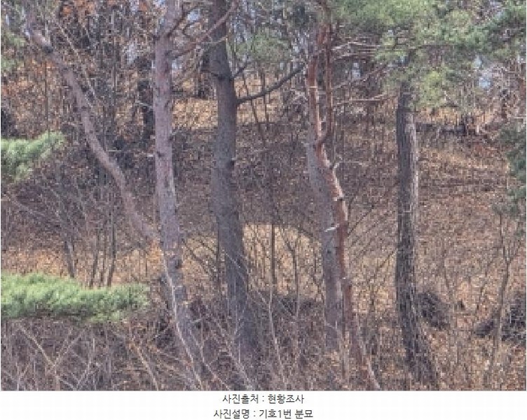 2025타경10280 경상북도 안동시 와룡면 지내리 산29 임야 경매 이미지