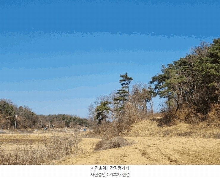 2025타경10280 경상북도 안동시 와룡면 지내리 산29 임야 경매 이미지