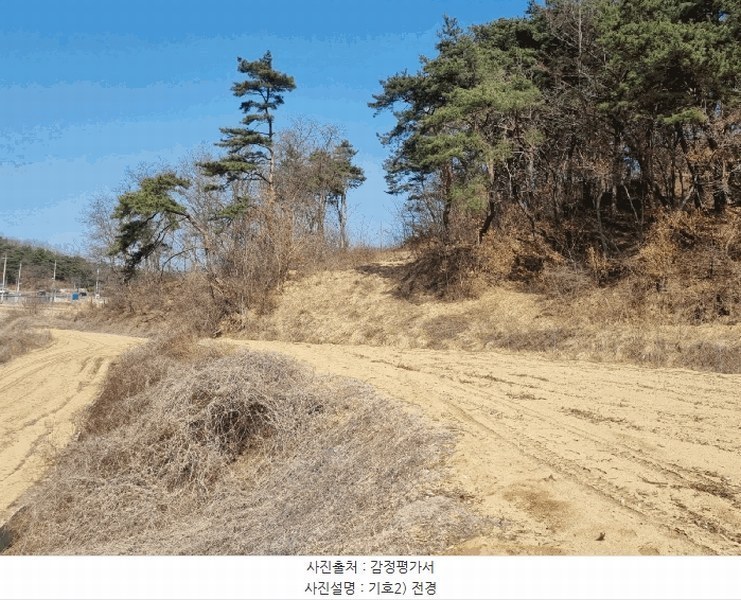 2025타경10280 경상북도 안동시 와룡면 지내리 산29 임야 경매 이미지