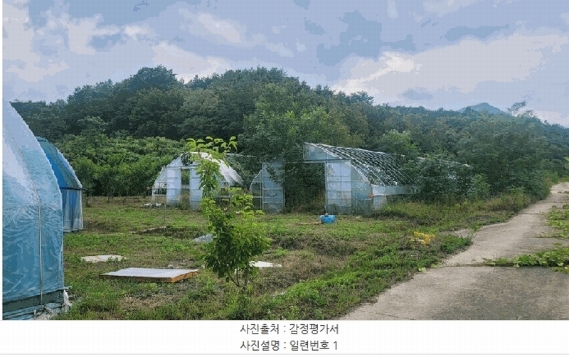 2025타경10302 강원특별자치도 고성군 토성면 학야리 225 농지 경매 이미지