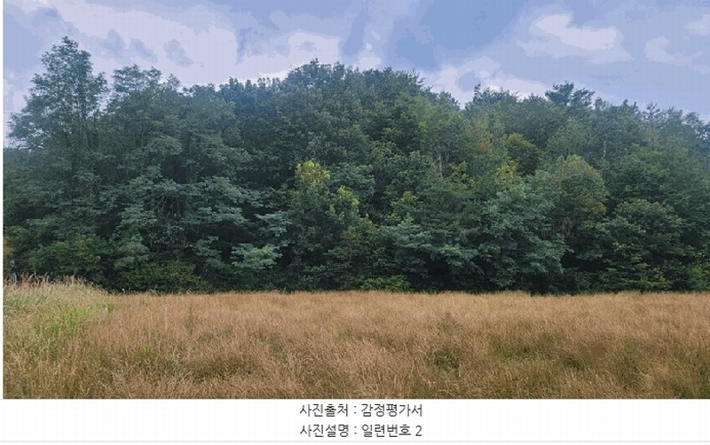 2025타경10302 강원특별자치도 고성군 토성면 학야리 225 농지 경매 이미지