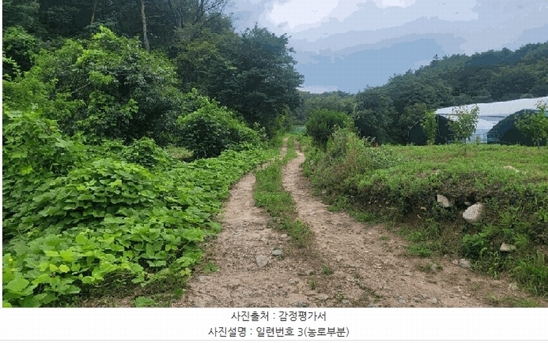 2025타경10302 강원특별자치도 고성군 토성면 학야리 225 농지 경매 이미지