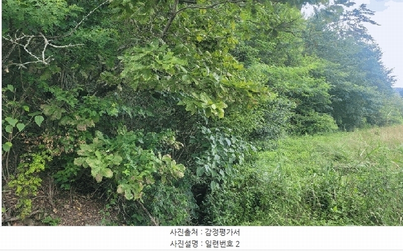 2025타경10302 강원특별자치도 고성군 토성면 학야리 225 농지 경매 이미지
