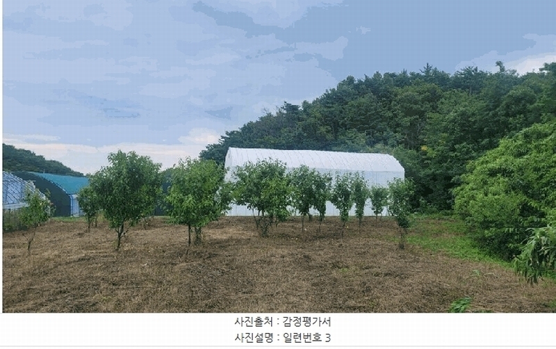 2025타경10302 강원특별자치도 고성군 토성면 학야리 225 농지 경매 이미지