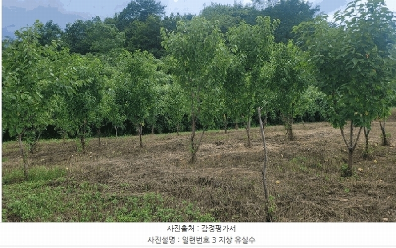 2025타경10302 강원특별자치도 고성군 토성면 학야리 225 농지 경매 이미지