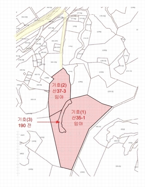 2025타경10322 강원특별자치도 고성군 죽왕면 향목리 산35-1 임야 경매 이미지