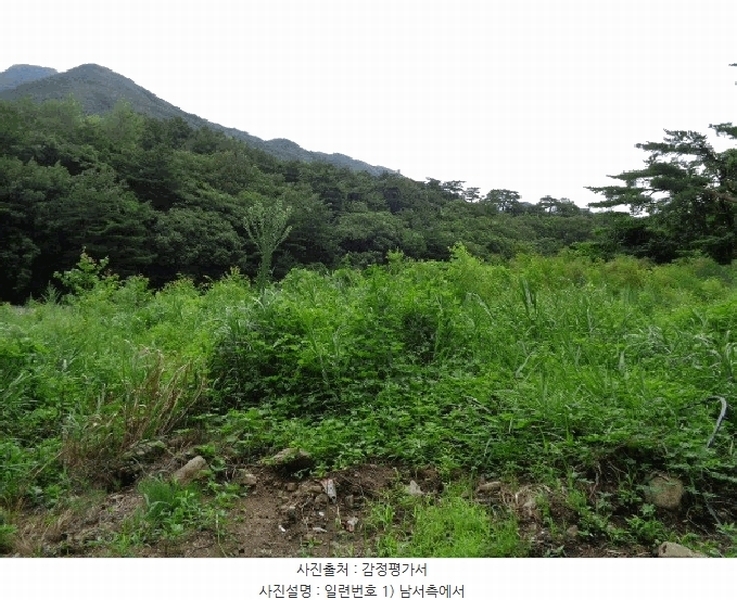 2025타경10330 강원특별자치도 양양군 서면 오색리 84 농지 경매 이미지