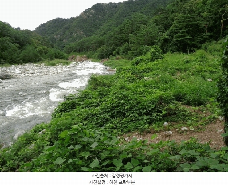 2025타경10330 강원특별자치도 양양군 서면 오색리 84 농지 경매 이미지