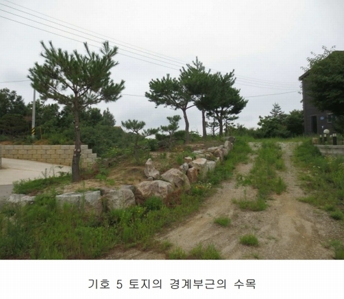 2024타경677 강원특별자치도 고성군 토성면 성대리 197-5 농가관련시설 경매 이미지