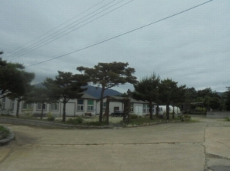2024타경677 강원특별자치도 고성군 토성면 성대리 197-5 농가관련시설 경매 이미지