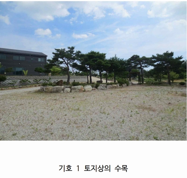 2024타경677 강원특별자치도 고성군 토성면 성대리 197-5 농가관련시설 경매 이미지