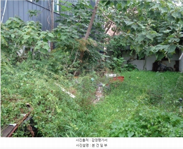 2024타경1397 강원특별자치도 속초시 교동 664-142 대지 경매 이미지