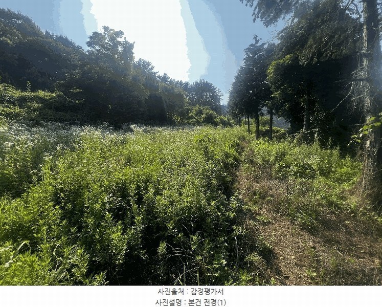 2025타경239 경상남도 창원시 마산합포구 구산면 수정리 941-2 농지 경매 이미지