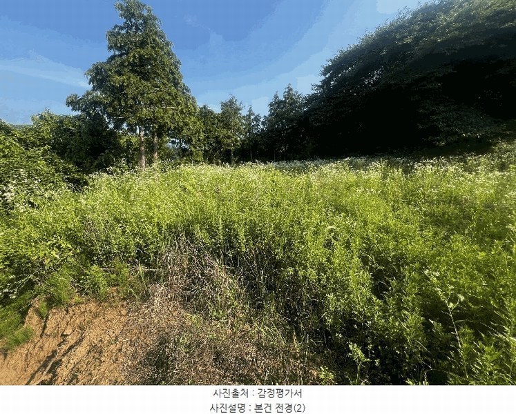 2025타경239 경상남도 창원시 마산합포구 구산면 수정리 941-2 농지 경매 이미지