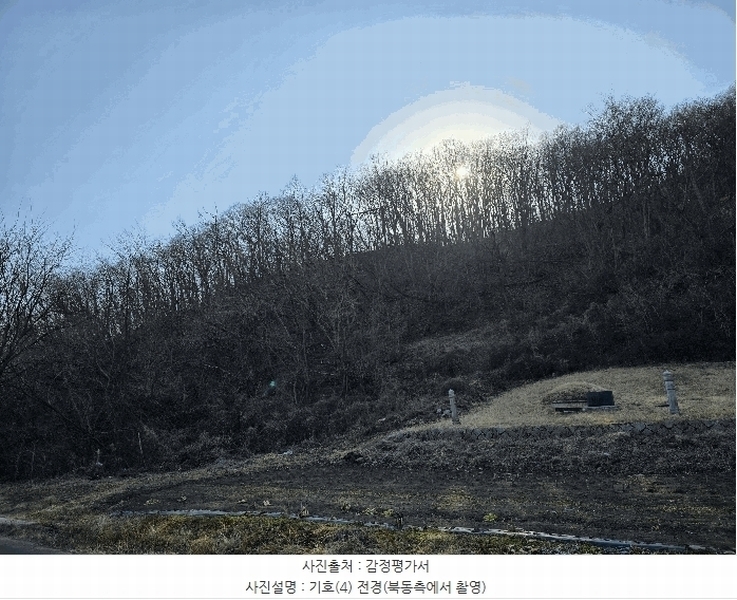 2025타경243 경상북도 포항시 남구 장기면 학곡리 산126 임야 경매 이미지