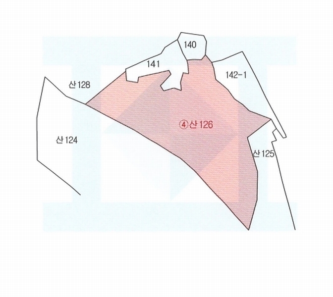 2025타경243 경상북도 포항시 남구 장기면 학곡리 산126 임야 경매 이미지