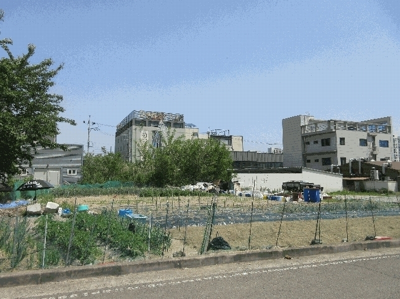 2025타경265 경상북도 포항시 남구 오천읍 원리 1047 대지 경매 이미지