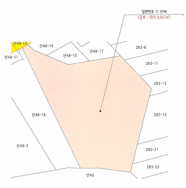 2025타경10263 강원특별자치도 고성군 토성면 용암리 산48 임야 경매 이미지