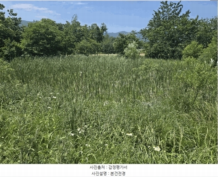 2025타경10281 강원특별자치도 속초시 노학동 524 농지 경매 이미지